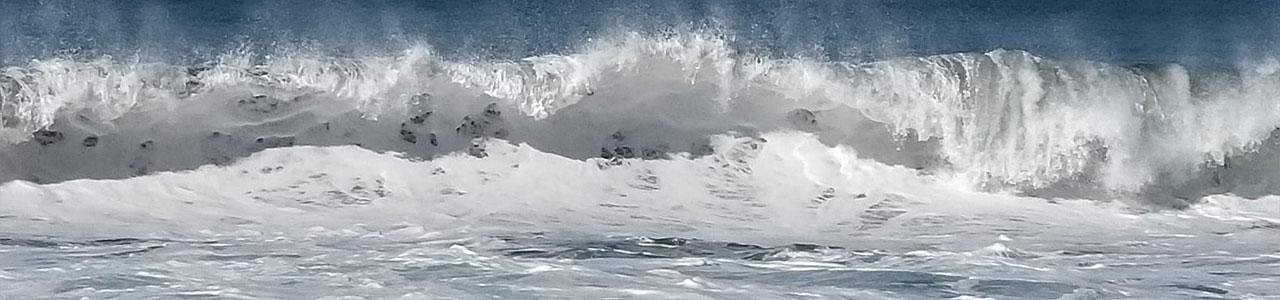 surf